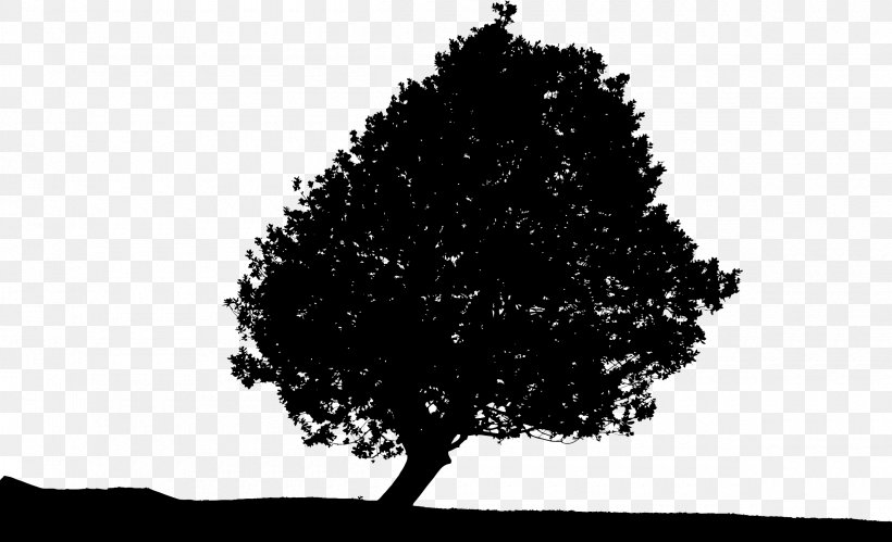 Tree Silhouette Landscape Clip Art, PNG, 2400x1462px, Tree, Black And White, Branch, Landscape, Leaf Download Free