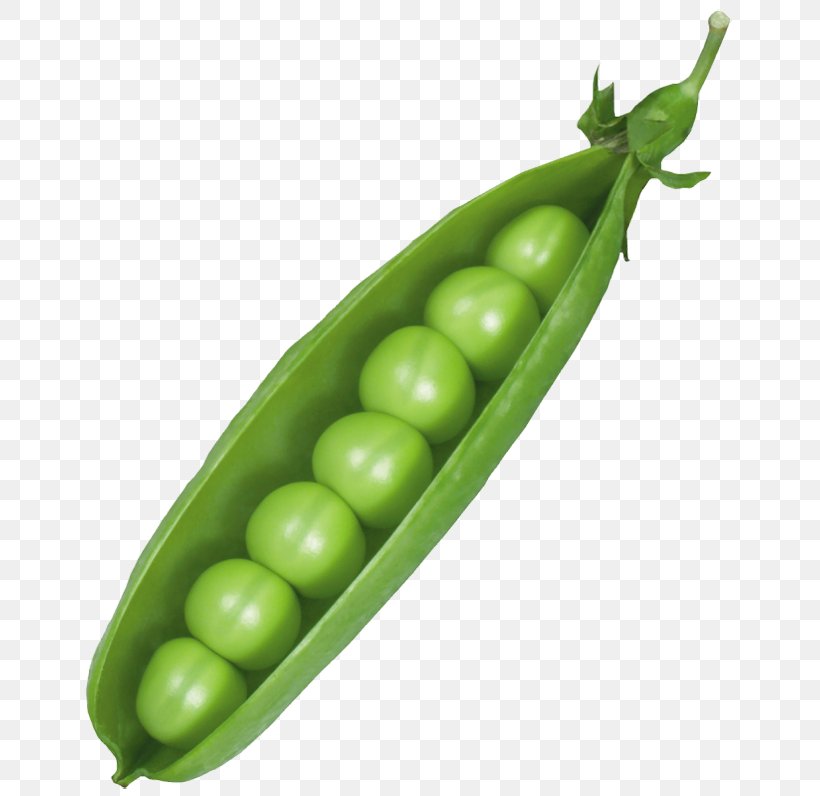 Pea Clip Art, PNG, 660x796px, Pea, Broad Bean, Cabbage, Carrot, Cauliflower Download Free