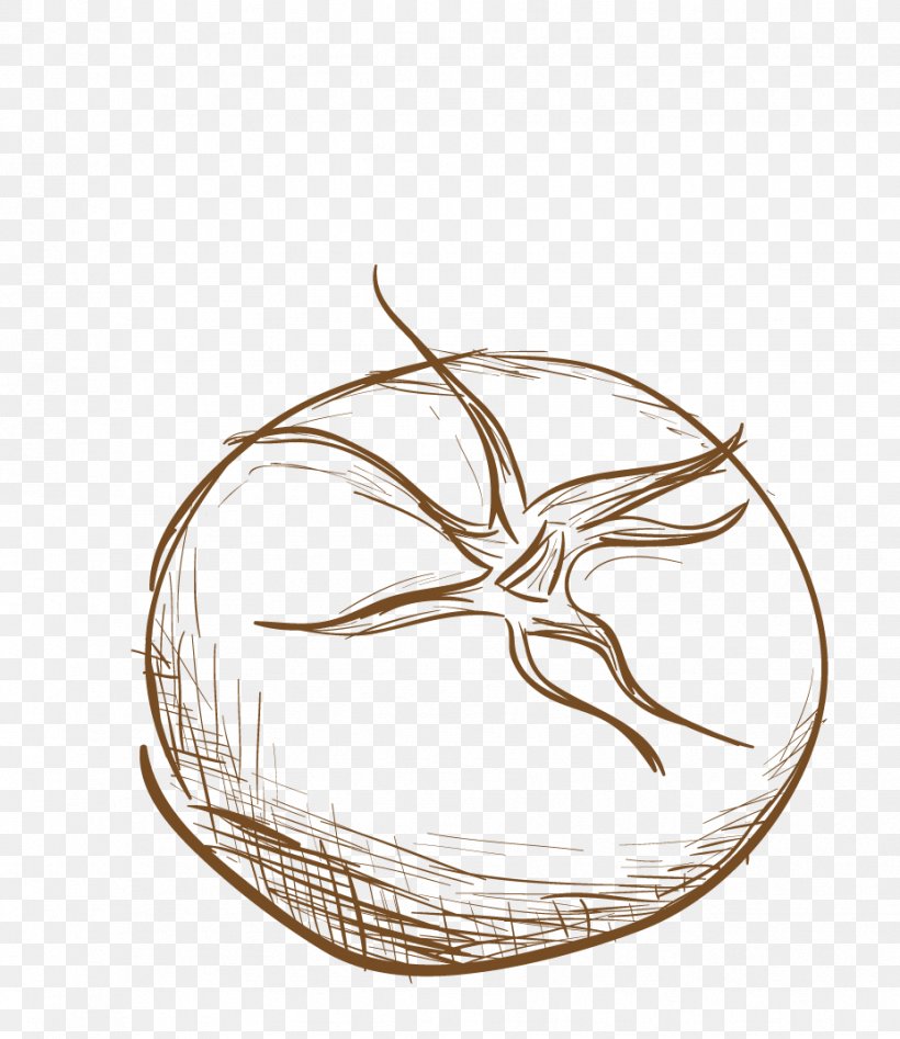 Tomato Image Vector Graphics Drawing, PNG, 927x1071px, Tomato, Drawing, Echinoderm, Food, Marine Invertebrates Download Free