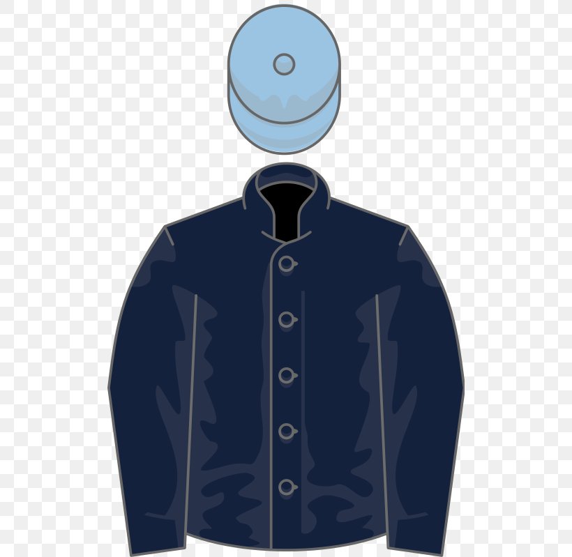 Thoroughbred Epsom Derby November Handicap Lincoln Handicap Horse Racing, PNG, 512x799px, Thoroughbred, Blue, Electric Blue, Epsom Derby, Handicap Download Free