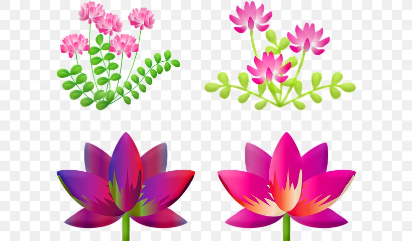 White Lily Flower, PNG, 596x480px, Nymphaea Nelumbo, Aquatic Plant, Aquatic Plants, Flower, Lotus Download Free