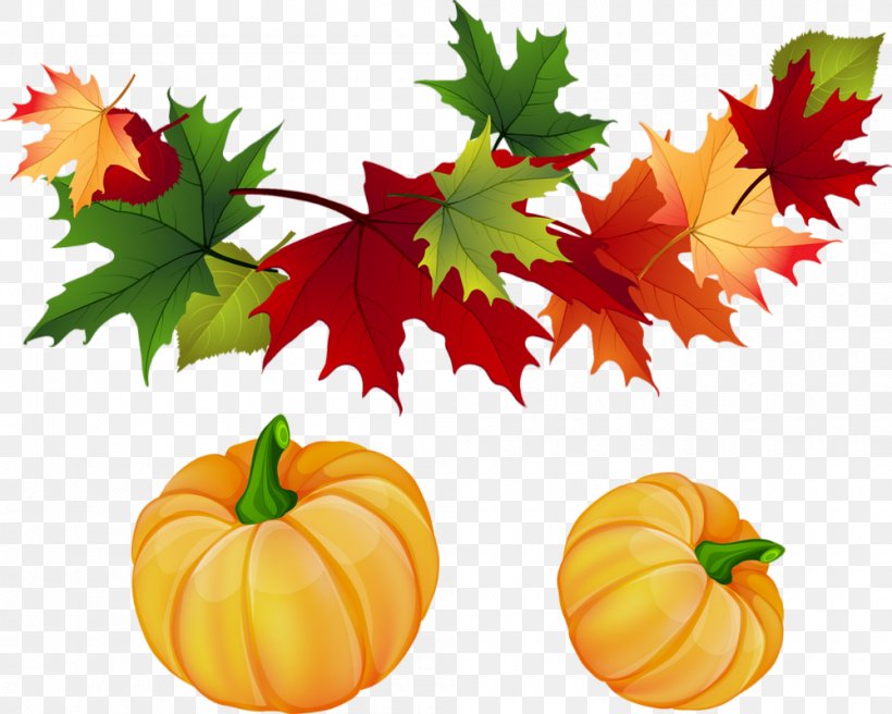 Clip Art For Fall Autumn Leaf Color Image, PNG, 1000x800px, Clip Art For Fall, Art, Autumn, Autumn Leaf Color, Calabaza Download Free