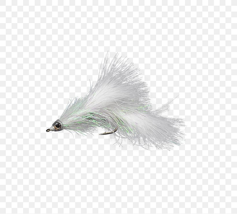 Fly Fishing Holly Flies Popularity Brand, PNG, 555x741px, Fly Fishing, Brand, Email, Feather, Fishing Download Free