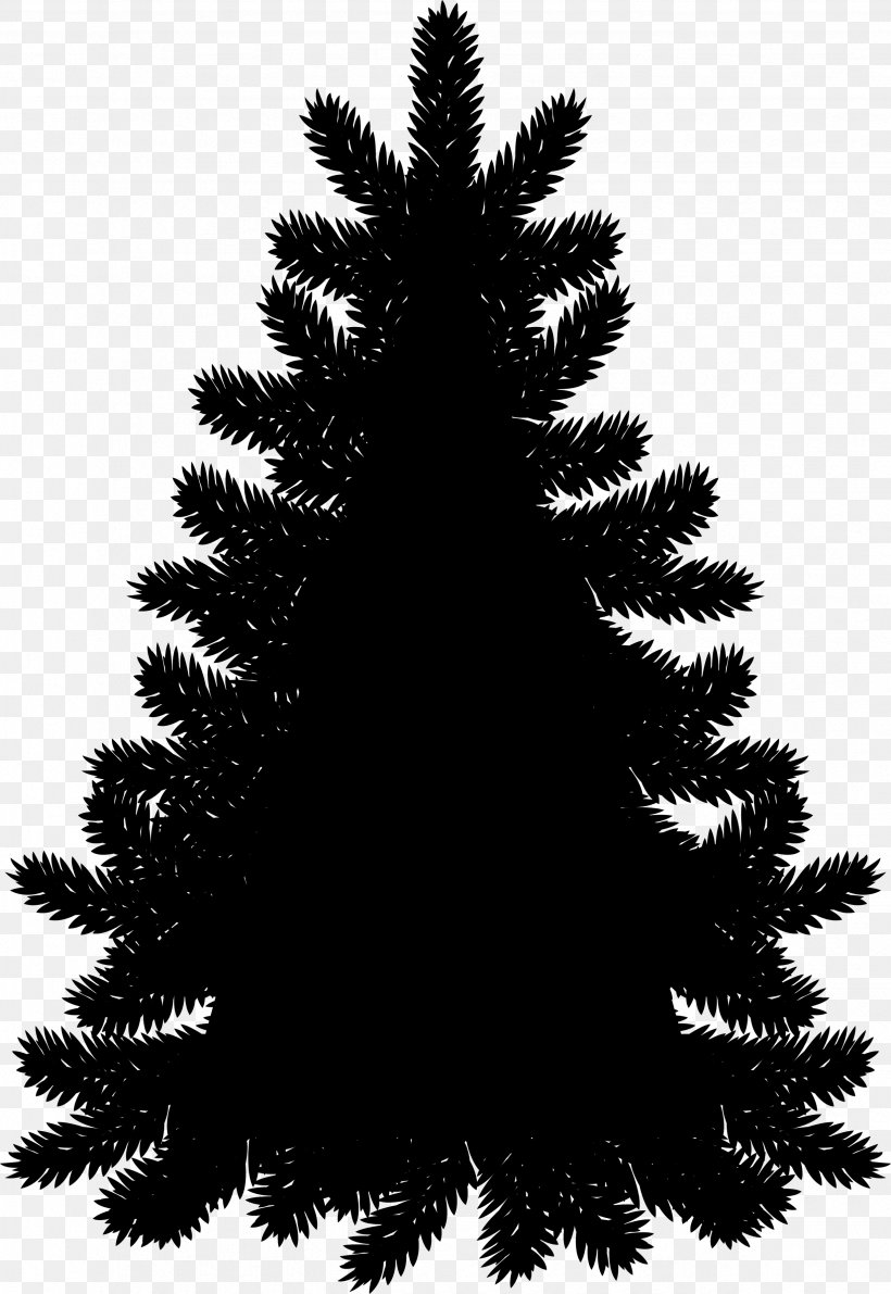 Fraser Fir Christmas Tree Clip Art Evergreen, PNG, 2469x3589px, Fraser Fir, American Larch, Balsam Fir, Biome, Blackandwhite Download Free