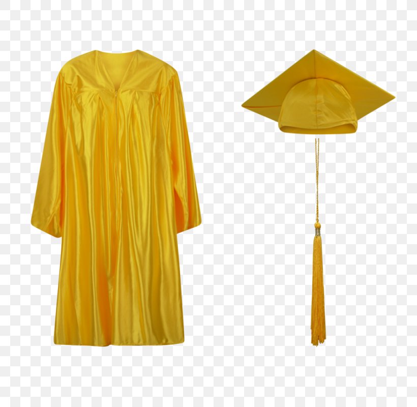 Academic Dress Tassel Graduation Ceremony Square Academic Cap Gown, PNG, 800x800px, Academic Dress, Blouse, Cap, Cape, Clothing Download Free