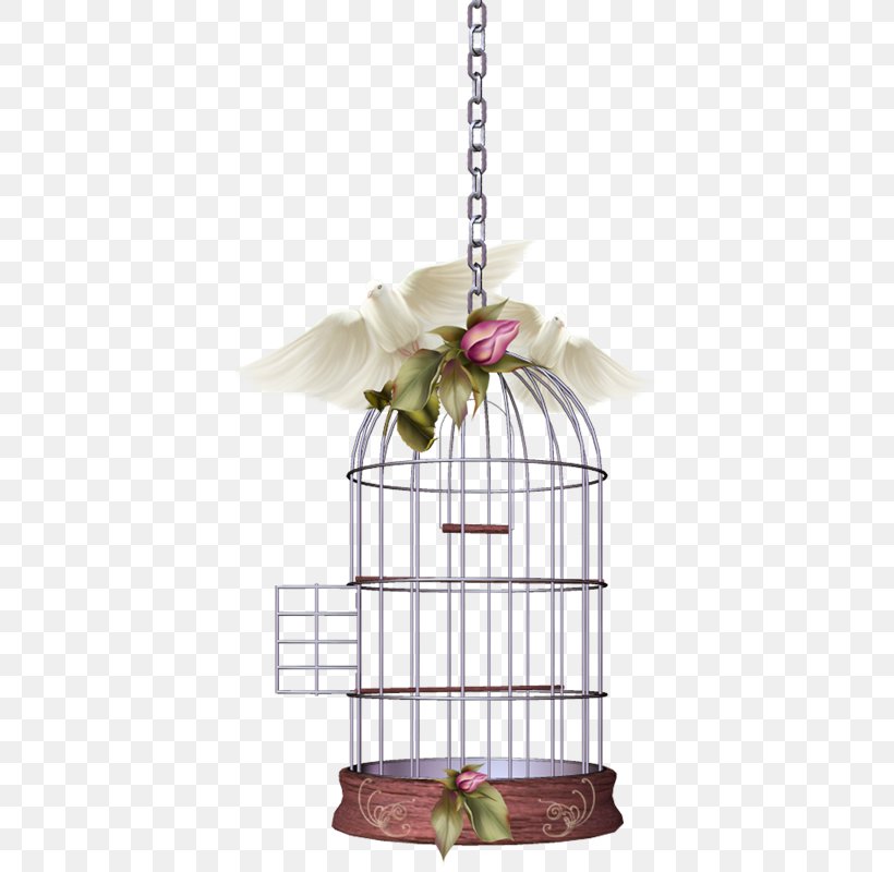 Birdcage, PNG, 388x800px, Bird, Bird Supply, Birdcage, Birdhouse, Cage Download Free