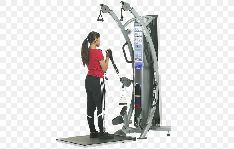 Elliptical Trainers Physical Fitness Weightlifting Machine Strength Training Child, PNG, 564x522px, Elliptical Trainers, Arm, Child, Denmark, Elliptical Trainer Download Free