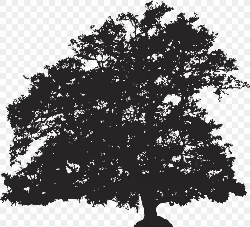 Silhouette Tree Drawing Illustration, PNG, 1819x1652px, Silhouette, Black And White, Branch, Cartoon, Deciduous Download Free