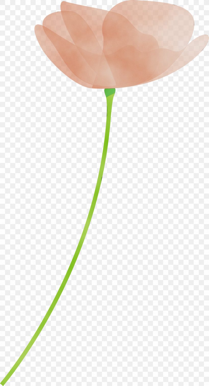 Tulip Flower Plant Balloon Plant Stem, PNG, 1622x3000px, Poppy, Anthurium, Balloon, Flower, Lily Family Download Free