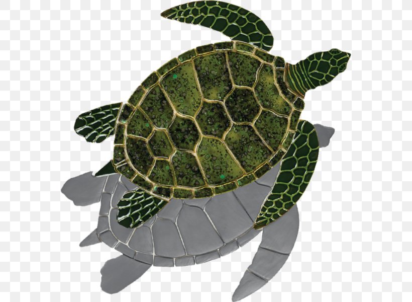 Loggerhead Sea Turtle Tortoise Green Sea Turtle, PNG, 578x600px, Loggerhead Sea Turtle, Art, Caretta, Ceramic, Craft Download Free