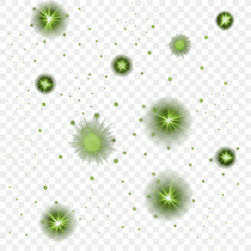 Star Effects, PNG, 1000x1000px, Digital Media, Flora, Flower, Green, Organism Download Free