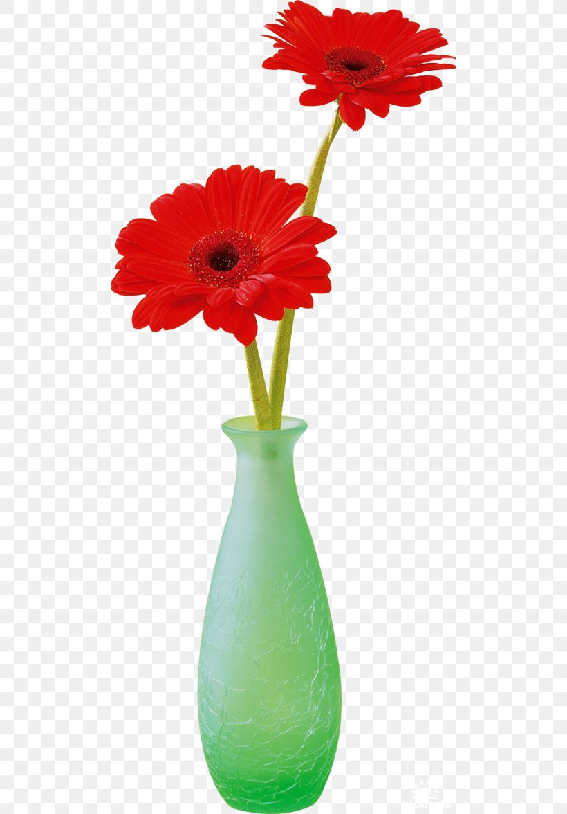 Transvaal Daisy Cut Flowers Chrysanthemum Vase, PNG, 500x1176px, Transvaal Daisy, Bloemisterij, Chrysanthemum, Cut Flowers, Daisy Family Download Free