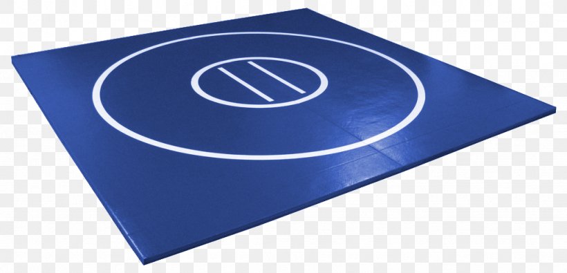 Laptop Computer Hardware AK Athletic Equipment Inc, PNG, 1024x494px, Laptop, Area, Blue, Brand, Computer Download Free