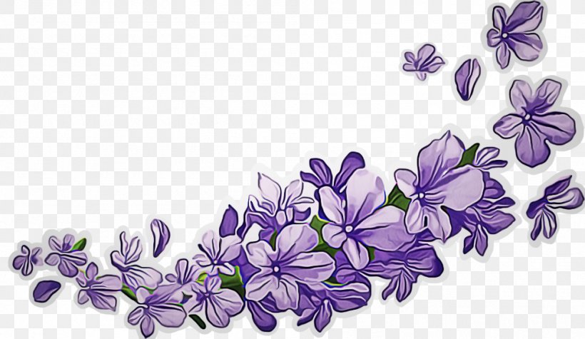 Lavender, PNG, 999x579px, Flower, Bellflower, Flowering Plant, Lavender, Lilac Download Free