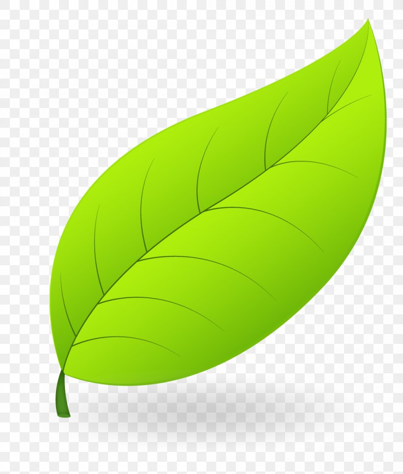 Leaf Product Design, PNG, 1000x1178px, Leaf, Green, Plant Download Free