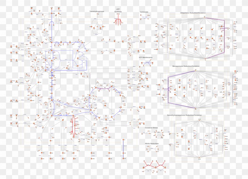 Line Angle Point Product Design, PNG, 5486x3969px, Point, Area, Diagram, Special Olympics Area M, Text Download Free