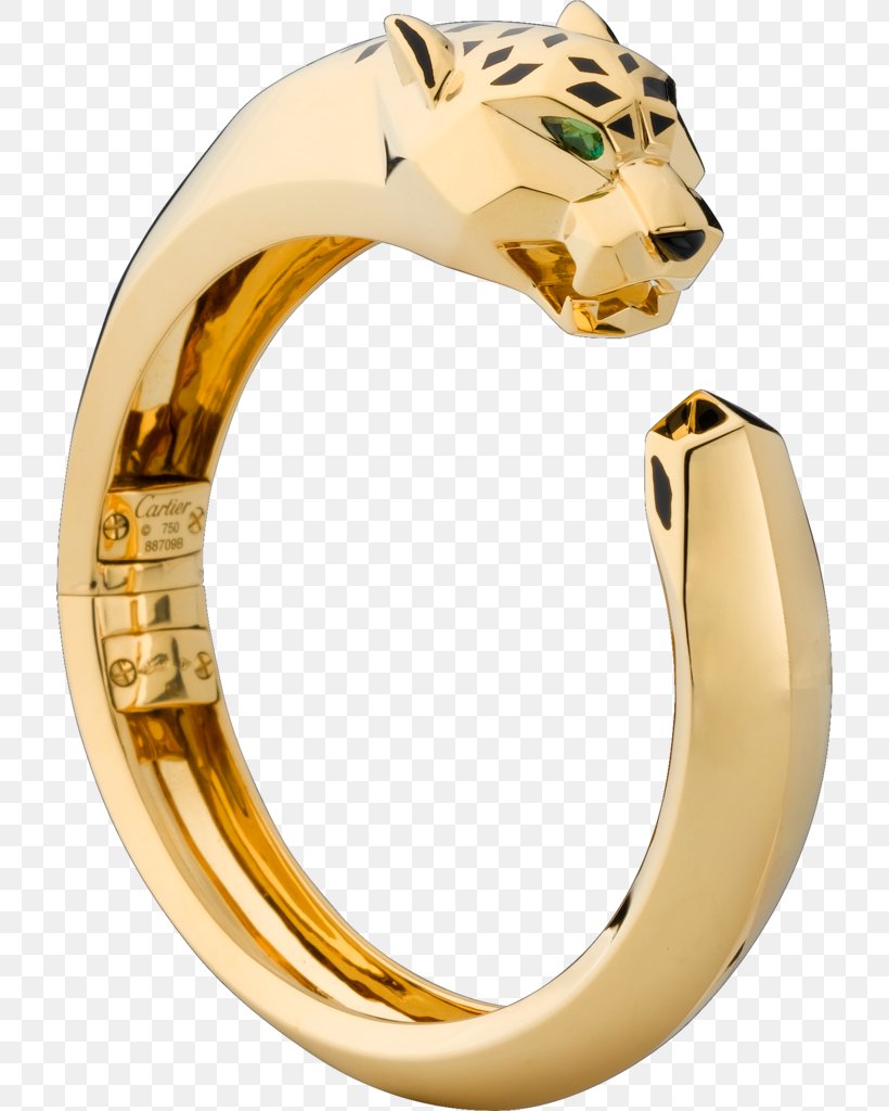 Love Bracelet Cartier Jewellery Earring, PNG, 716x1024px, Cartier, Bangle, Body Jewelry, Bracelet, Brass Download Free