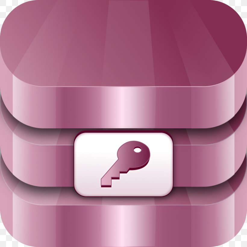 Microsoft Access Mobile Database IPod Touch Application Software, PNG, 1024x1024px, Microsoft Access, Application Software, Client, Commaseparated Values, Database Download Free