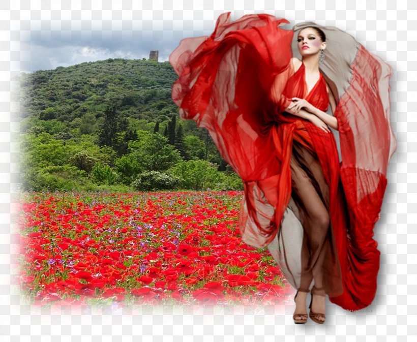 Red Garden Roses Dress Clothing Color, PNG, 1489x1223px, Red, Blouse, Brown, Clothing, Color Download Free