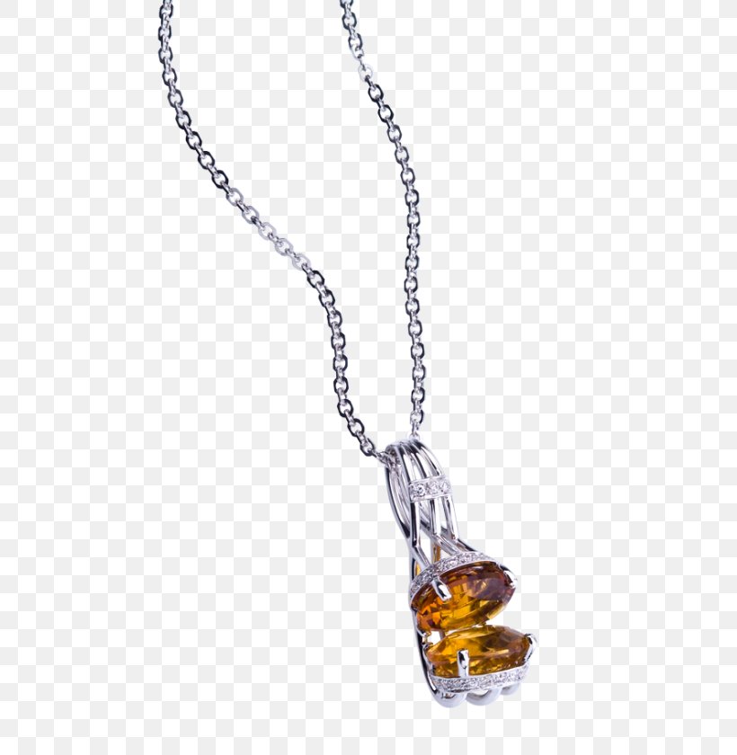 Amber Charms & Pendants Jewellery Fashion Necklace, PNG, 600x840px, Amber, Amethyst, Art Jewelry, Birthstone, Body Jewellery Download Free