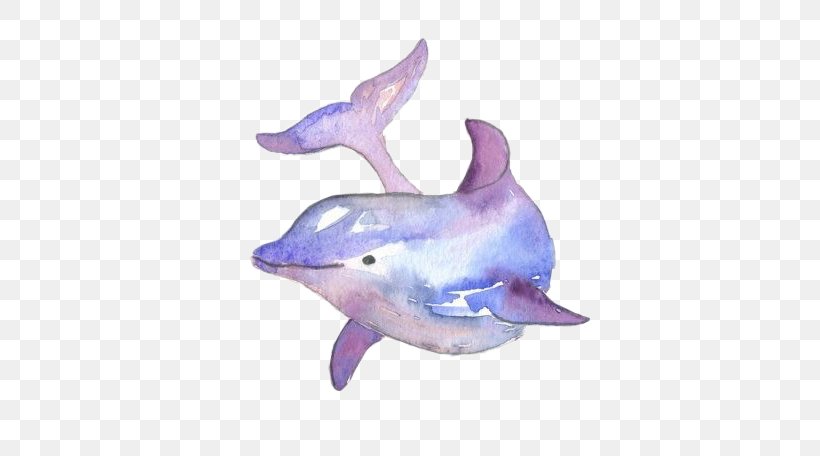 Common Bottlenose Dolphin Watercolor Painting Drawing, PNG, 570x456px, 2018, Common Bottlenose Dolphin, Animal, Animal Figure, Art Download Free