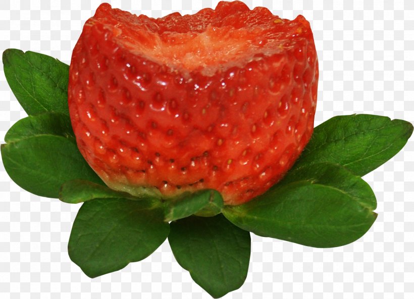 Fruit Strawberry Food Clip Art, PNG, 1553x1124px, Fruit, Auglis, Food, Fragaria, Garnish Download Free