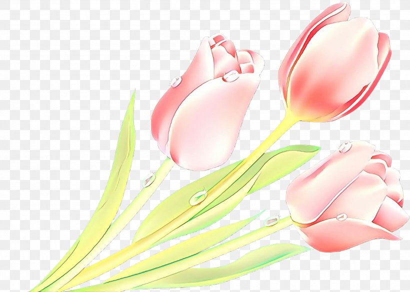 Pink Tulip Flower Plant Petal, PNG, 3428x2442px, Cartoon, Cut Flowers, Flower, Flowering Plant, Lily Family Download Free