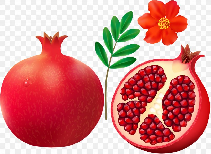 Pomegranate Fruit Clip Art, PNG, 2560x1879px, Pomegranate, Accessory Fruit, Berry, Cranberry, Diet Food Download Free