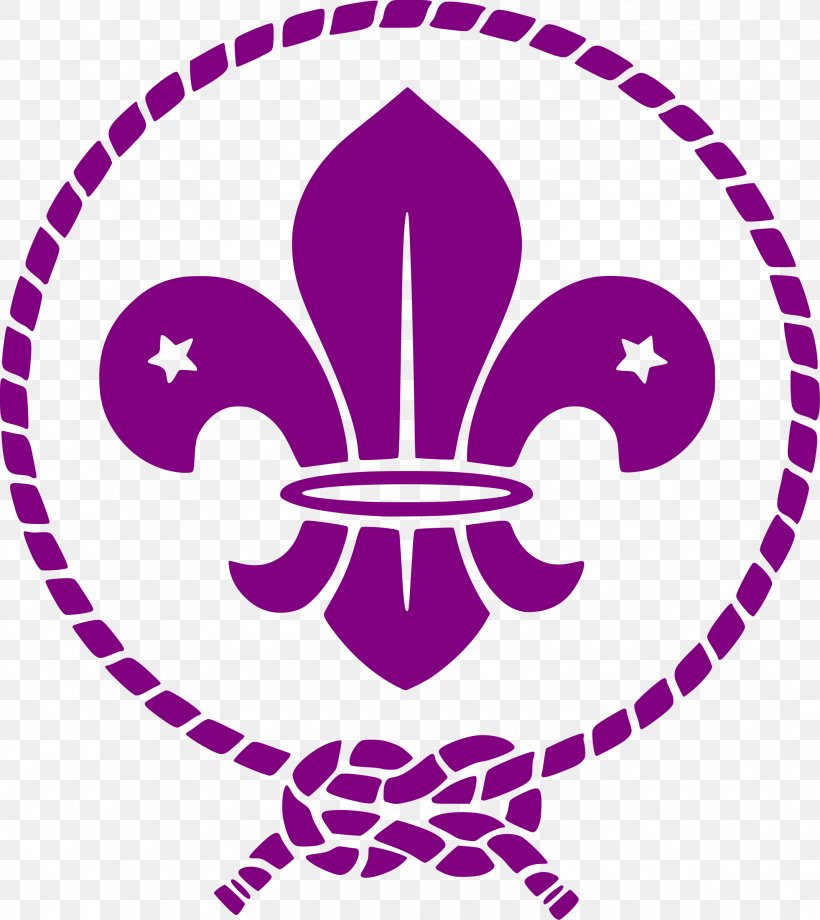 24th World Scout Jamboree Scouting Boy Scouts Of America World Organization Of The Scout Movement World Scout Emblem, PNG, 2138x2400px, 24th World Scout Jamboree, Area, Artwork, Boy Scouts Of America, Cub Scout Download Free