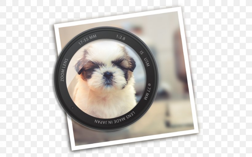 Mac App Store Shih Tzu Apple MacOS, PNG, 1600x1000px, Mac App Store, App Store, Apple, Bundle, Carnivoran Download Free