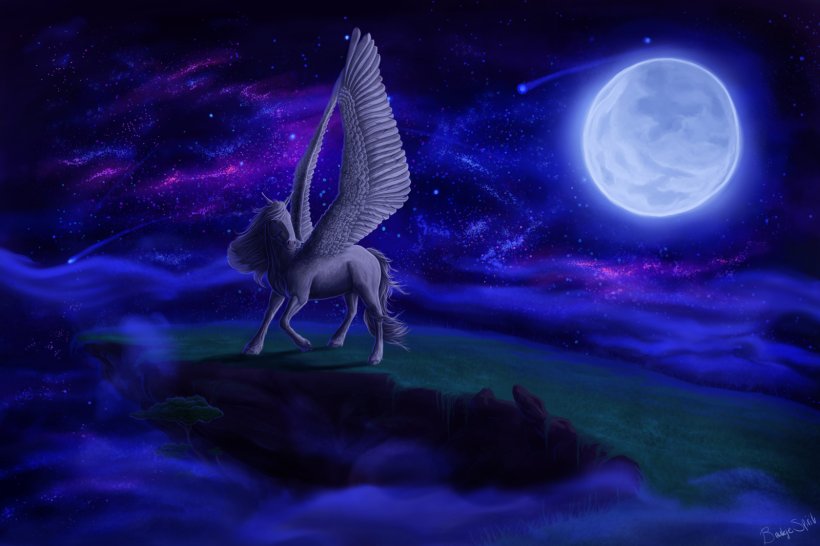 Night Sky Pegasus Moon, PNG, 1600x1067px, Sky, Atmosphere, Darkness, Drawing, Marine Biology Download Free