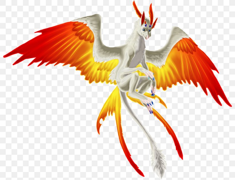Phoenix Dragon Macaw Immortality, PNG, 800x628px, Phoenix, Beak, Bird, Dragon, Fauna Download Free