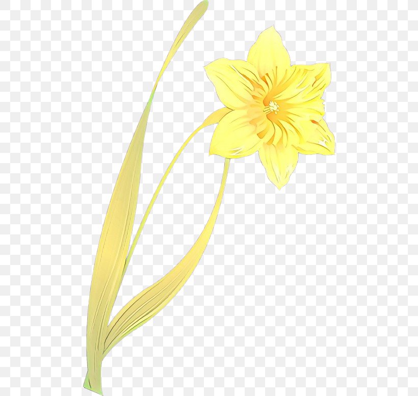 Yellow Flower Plant Petal Pedicel, PNG, 500x777px, Cartoon, Amaryllis Family, Flower, Narcissus, Pedicel Download Free
