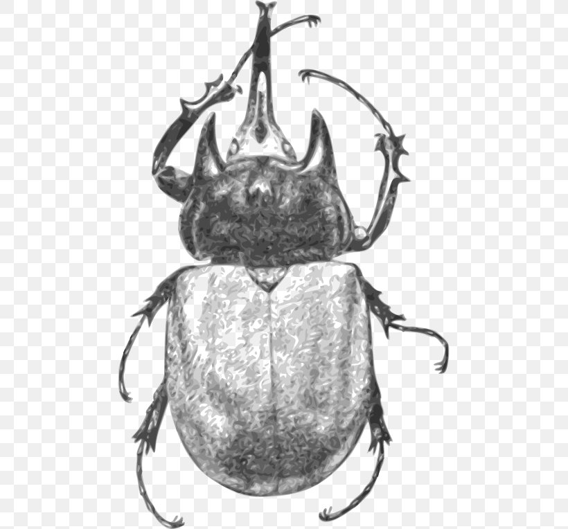Beetle Monochrome Black And White, PNG, 479x764px, Beetle, Black And White, Drawing, Insect, Invertebrate Download Free