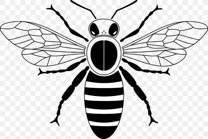 Honey Bee Drawing Beehive Clip Art, PNG, 1280x860px, Bee, Art, Arthropod, Beehive, Black And White Download Free