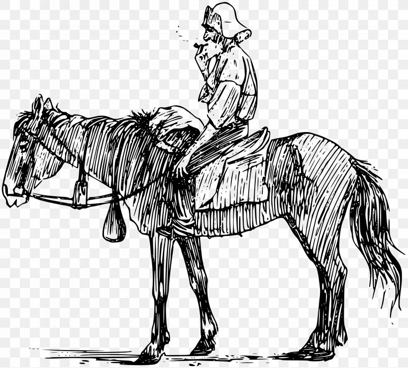 Mule Horse Equestrian Clip Art, PNG, 2400x2170px, Mule, Art, Black And White, Bridle, Comic History Of England Download Free