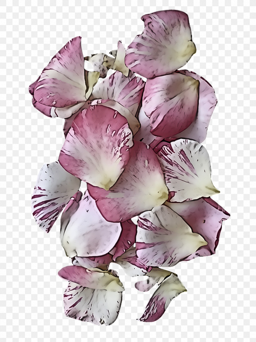 Floral Design, PNG, 1080x1440px, Cut Flowers, Floral Design, Floral Frame, Flower, Flower Bouquet Download Free