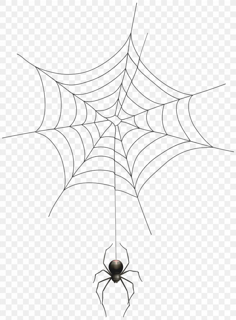 Spider Web Clip Art, PNG, 5888x8000px, Spider, Arachnid, Black And White, Drawing, Invertebrate Download Free