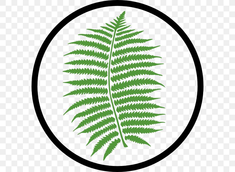 Fern Leaf Clip Art, PNG, 600x600px, Fern, Burknar, Drawing, Free Content, Frond Download Free