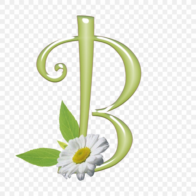 Floral Design Product Design Vase, PNG, 1600x1600px, Floral Design, Alternative Health Services, Drinkware, Flora, Flower Download Free