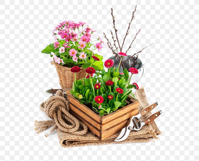 Garden Tool Stock Photography Flower Spade, PNG, 573x663px, Garden Tool, Artificial Flower, Basket, Bucket, Cut Flowers Download Free