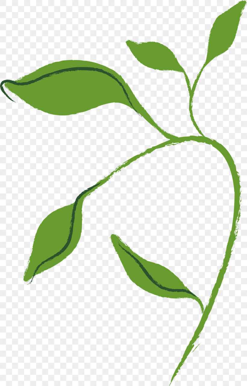 Leaf Plant Flower Plant Stem Tree, PNG, 1925x3000px, Leaf, Flower, Pedicel, Plant, Plant Stem Download Free