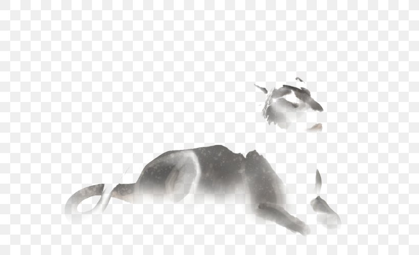 Cat Lion White Black Tail, PNG, 640x500px, Cat, Birth, Black, Black And White, Carnivoran Download Free