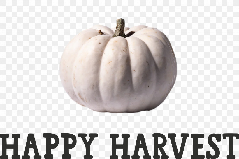Happy Harvest Harvest Time, PNG, 3000x2005px, Happy Harvest, Calabaza, Harvest Time, Meter, Squash Download Free