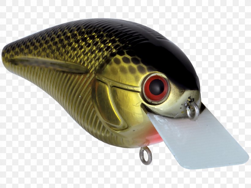 Fishing Baits & Lures Livingston Lures AC Power Plugs And Sockets, PNG, 1200x899px, Fish, Ac Power Plugs And Sockets, Bait, Beak, Fin Download Free