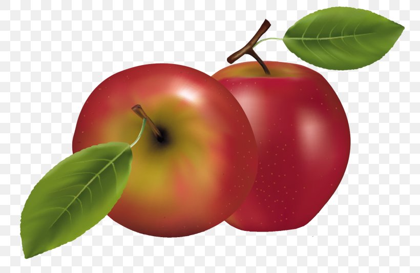 Fruit Clip Art, PNG, 800x533px, Fruit, Accessory Fruit, Acerola, Acerola Family, Apple Download Free