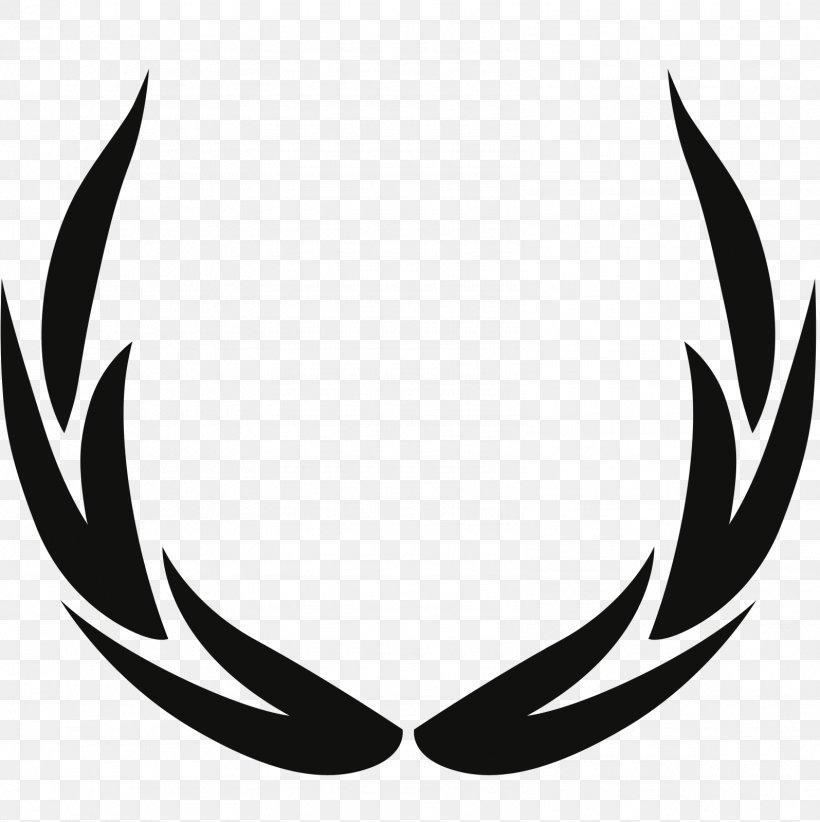 Laurel Wreath Bay Laurel Clip Art, PNG, 1595x1599px, Laurel Wreath, Antler, Bay Laurel, Black, Black And White Download Free