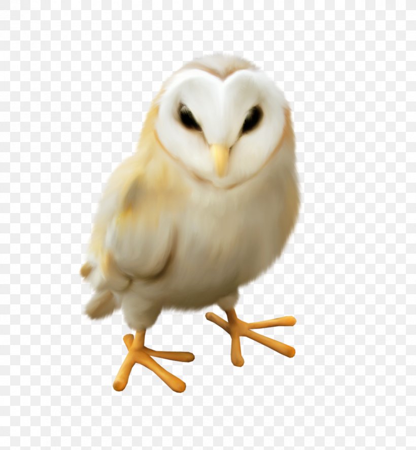 Owl Bird Clip Art, PNG, 1182x1280px, Owl, Animal, Beak, Bird, Bird Of Prey Download Free