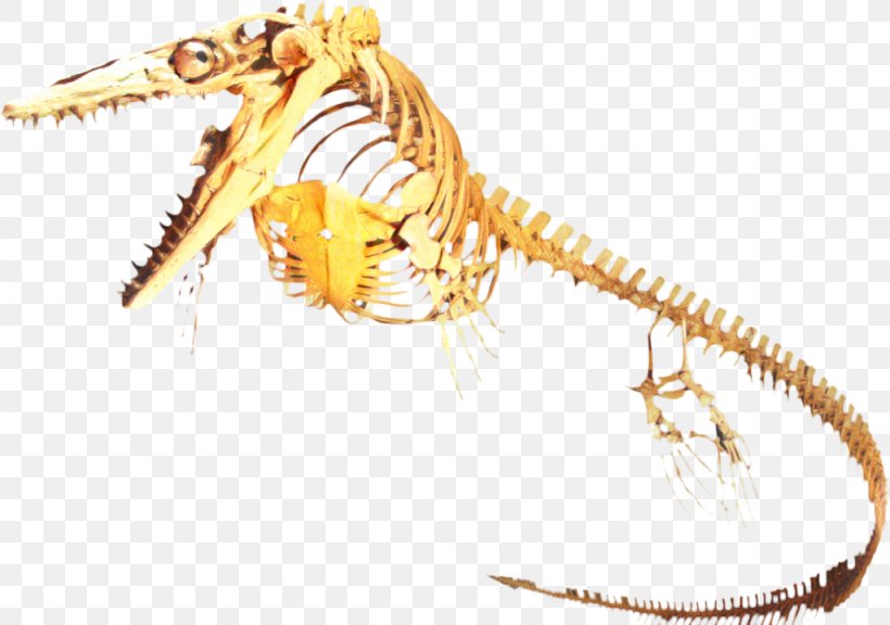 Reptile Jewellery, PNG, 1024x720px, Reptile, Exhibition, Fossil, Jewellery, Mosasaurs Download Free