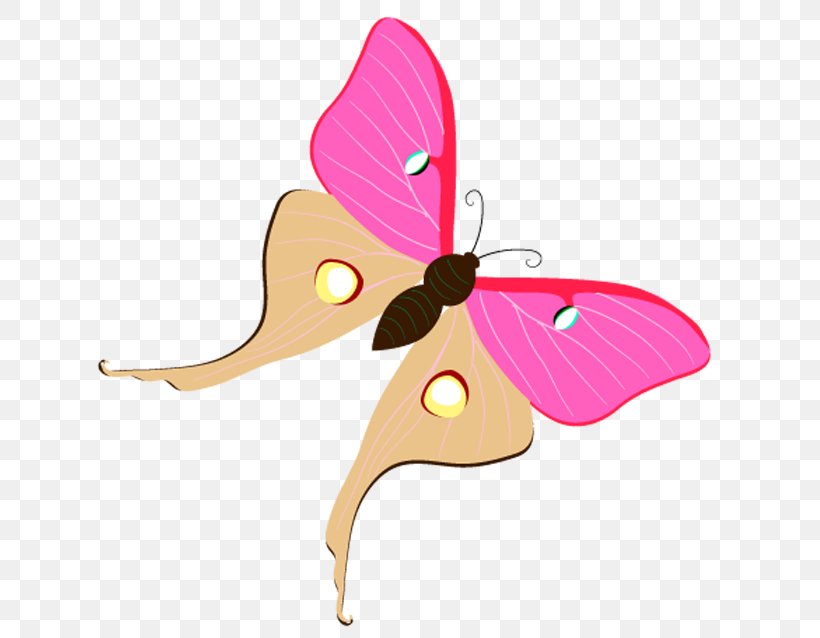 Butterfly Moth Clip Art, PNG, 642x638px, Butterfly, Animal, Arthropod, Butterflies And Moths, Insect Download Free
